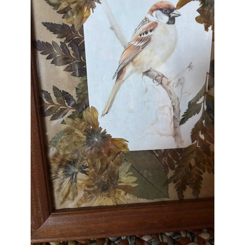 Vintage Framed Pressed Flower Bird Art Wood Frame Botanical Wall Decor 10x12